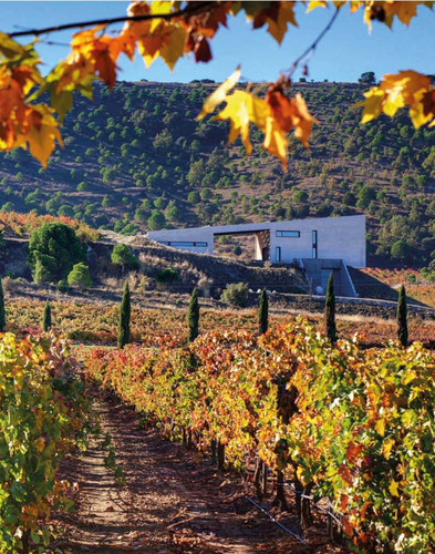 The World Winery Collection: Innovative design, sustainability and the landscape book cover by 