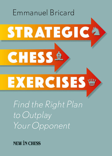 Strategic Chess Exercises: Find the Right Way to Outplay Your Opponent book cover by Emmanuel Bricard