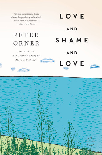 Love and Shame and Love: A Novel book cover by Peter Orner
