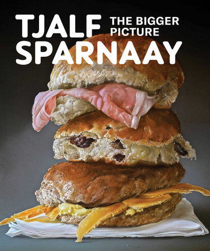 Tjalf Sparnaay: The Bigger Picture book cover by Karin Lieverloo, Simon McKeown