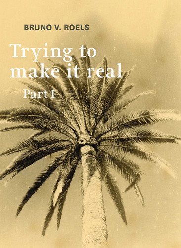 Trying To Make It Real Part 1 & 2: Bruno V. Roels book cover by Bruno Roels
