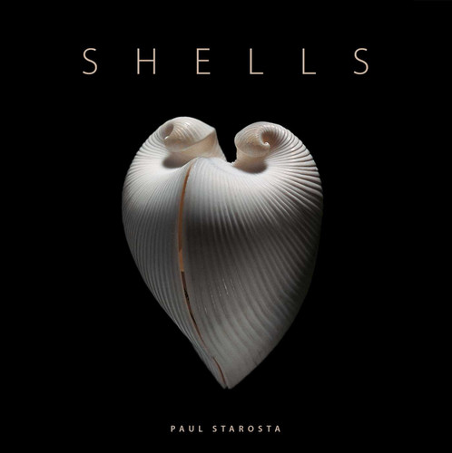 Shells book cover by Paolo Portoghesi