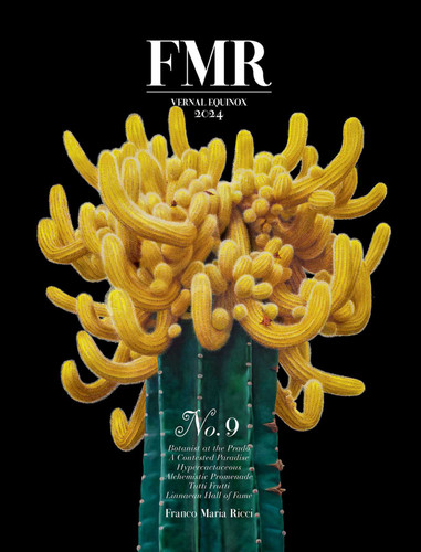FMR No. 9: Vernal Equinox 2024 (FMR) book cover by Franco Maria Ricci Editore