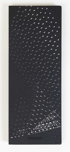 Atlas of Voids book cover by Kathleen Alisch