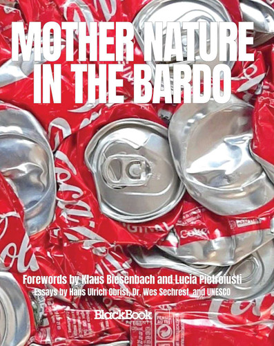 Mother Nature in the Bardo (ART+IMPACT) book cover by 
