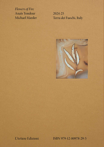 Flowers of Fire book cover by Anaïs Tondeur, Michael Marder