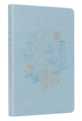 Healing: A Day and Night Reflection Journal (Inner World) book cover by Insight Editions