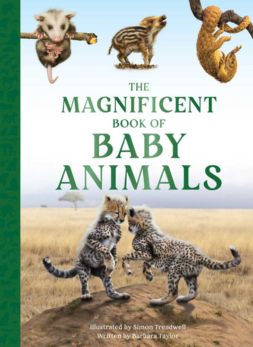 The Magnificent Book of Baby Animals (The Magnificent Book of) book cover by Barbara Taylor