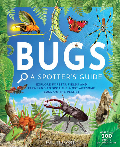 Bugs: A Spotter's Guide (A Spotter's Guide) book cover by Pauline Savage