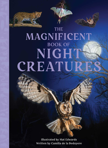 The Magnificent Book of Night Creatures (The Magnificent Book of) book cover by Camilla De La Bedoyere