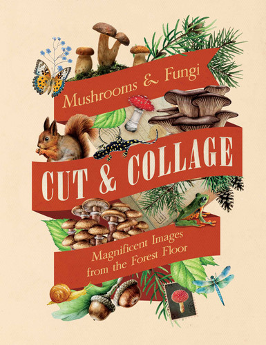 Cut & Collage Mushrooms and Fungi: Magnificent Images from the Forest Floor book cover by Earth Aware Editions