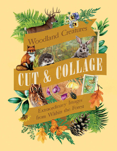 Cut & Collage Woodland Creatures: Extraordinary Images from Within the Forest book cover by Earth Aware Editions