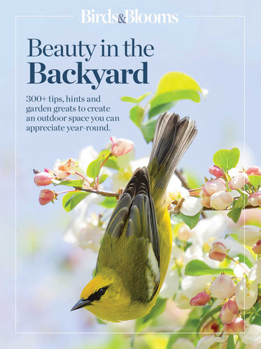 Birds & Blooms Beauty in the Backyard: 300+ TIPS, HINTS AND GARDEN GREATS TO CREATE AN OUTDOOR SPACE YOU CAN APPRECIATE YEAR-ROUND (Birds & Blooms Guide) book cover by 