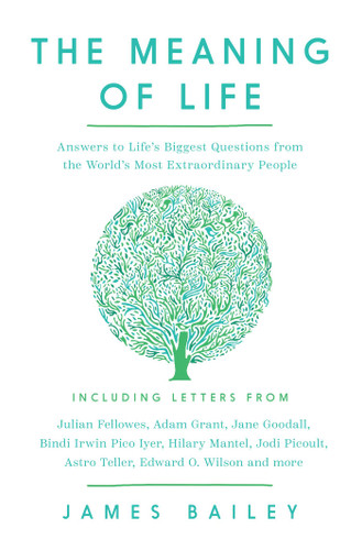 The Meaning of Life: Answers to Life's Biggest Questions from the World's Most Extraordinary People book cover by James Bailey