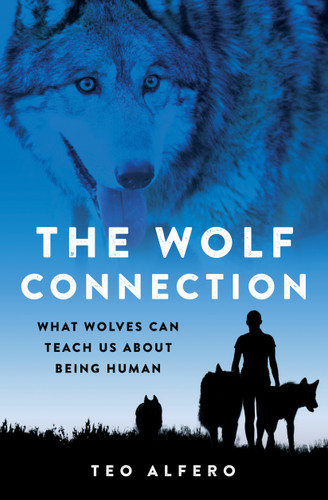 The Wolf Connection: What Wolves Can Teach Us about Being Human book cover by Teo Alfero