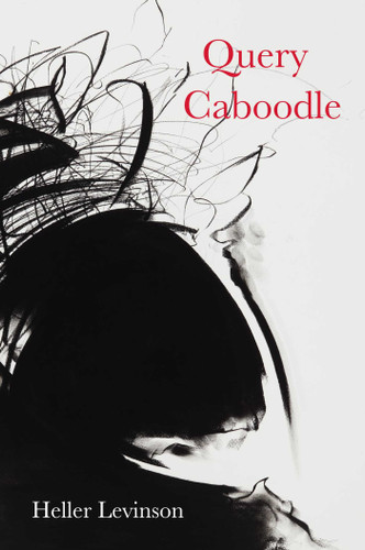 Query Caboodle book cover by Heller Levinson