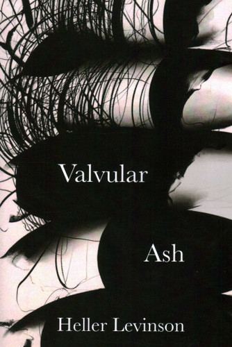Valvular Ash book cover by Heller Levinson