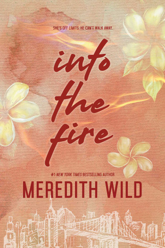 Into the Fire (The Bridge Series) book cover by Meredith Wild