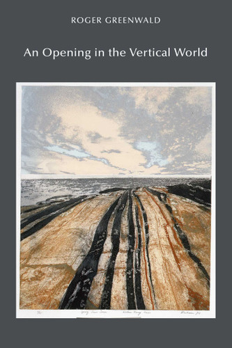 An Opening in the Vertical World book cover by Roger Greenwald