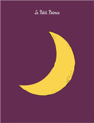 Moleskine Limited Edition Bundle Petit Prince, Notebook and Cahier Jounal, Large, Moon, Hard Cover (5 x 8.25) book cover by Moleskine