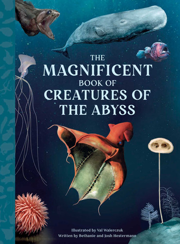 The Magnificent Book of Creatures of the Abyss (The Magnificent Book of) book cover by Bethanie  Hestermann, Josh Hestermann