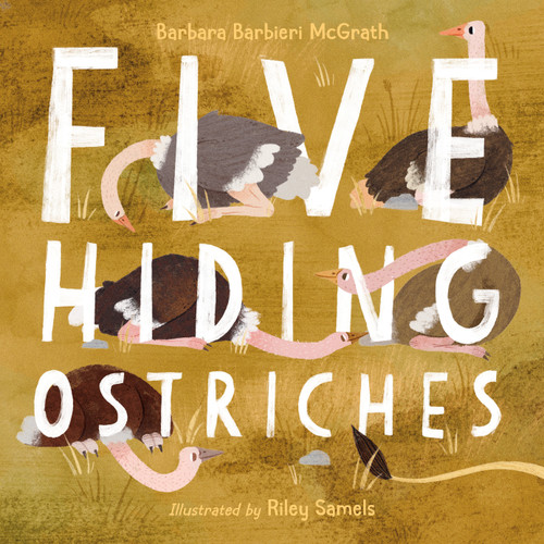 Five Hiding Ostriches book cover by Barbara Barbieri McGrath
