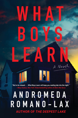 What Boys Learn book cover by Andromeda Romano-Lax