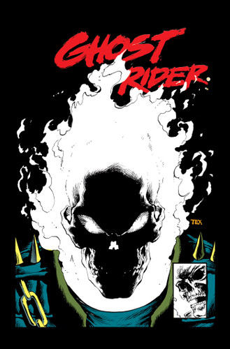 Ghost Rider: Danny Ketch Epic Collection: Bad To The Bone book cover by Howard Mackie