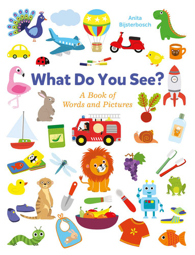 What Do You See?: A Book Full of Words and Pictures book cover by Anita Bijsterbosch
