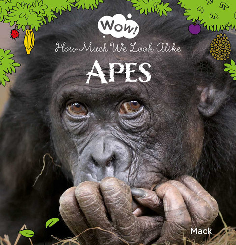 Apes: How Much We Look Alike (Wow!) book cover by Mack van Gageldonk