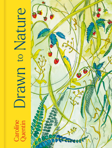 Drawn to Nature book cover by Caroline Quentin