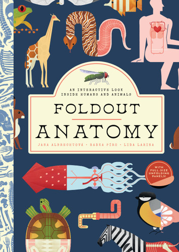 Foldout Anatomy: An Interactive Look Inside Humans and Animals book cover by Jana Albrechtová, Radka Píro