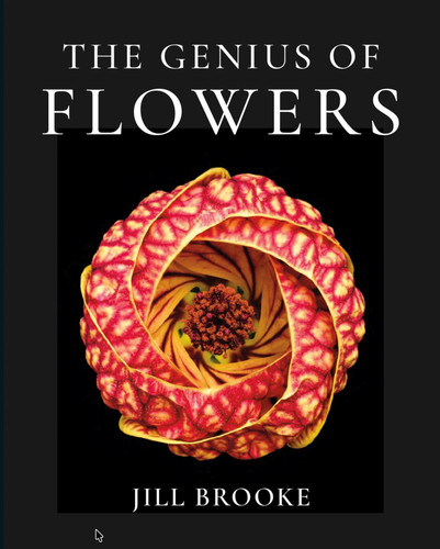The Genius of Flowers: What Life's Most Beautiful Creations Can Teach Us book cover by Jill Brooke