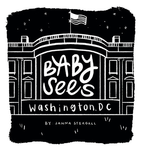 Baby Sees Washington, DC: A High-Contrast Board Book for Babies (Baby Sees) book cover by Janna Steagall