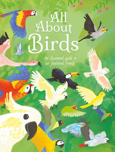 All About Birds: An Illustrated Guide to Our Feathered Friends book cover by Cheeseman