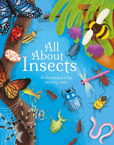 All About Insects: An illustrated guide to bugs and creepy-crawlies book cover by Cheeseman