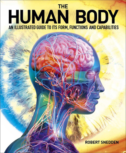 The Human Body: An Illustrated Guide to Its Form, Functions and Capabilities book cover by Robert Snedden