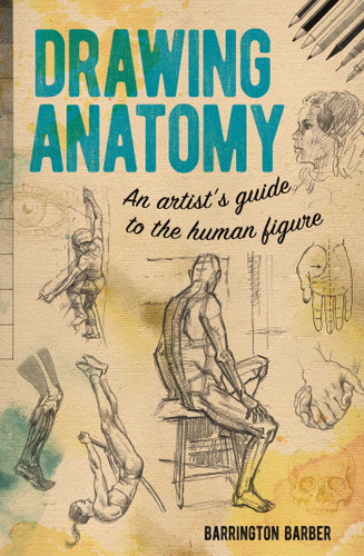 Drawing Anatomy: An Artist's Guide to the Human Figure book cover by Barrington Barber