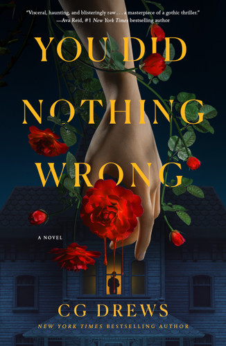 You Did Nothing Wrong: A Novel book cover by CG Drews