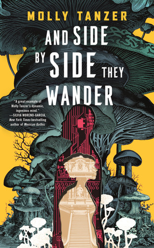 And Side by Side They Wander book cover by Molly Tanzer