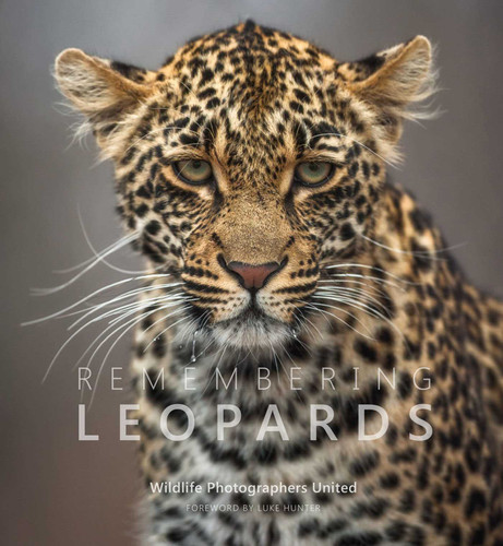 Remembering Leopards (Remembering Wildlife) book cover by Margot Raggett, Wildlife Photographers United