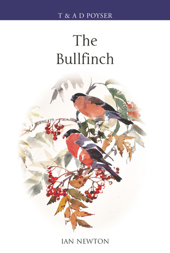 The Bullfinch (Poyser Monographs) book cover by Ian Newton