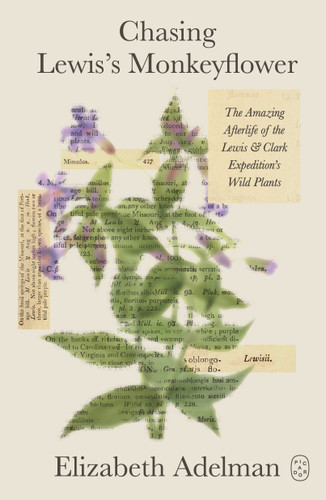 Chasing Lewis's Monkeyflower: The Amazing Afterlife of the Lewis and Clark Expedition's Wild Plants book cover by Elizabeth Adelman