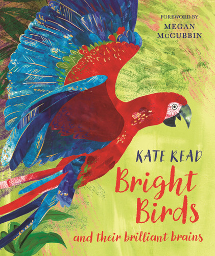 Bright Birds: and their brilliant brains book cover by Kate Read