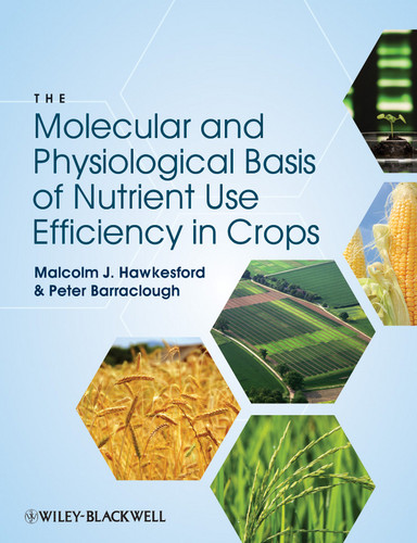 The Molecular and Physiological Basis of Nutrient Use Efficiency in Crops book cover by Malcolm J. Hawkesford, Peter Barraclough