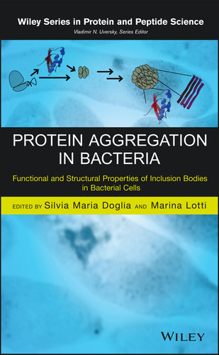 Protein Aggregation in Bacteria: Functional and Structural Properties of Inclusion Bodies in Bacterial Cells (Wiley Series in Protein and Peptide Science) book cover by 