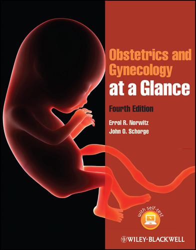 Obstetrics and Gynecology at a Glance (At a Glance) book cover by Errol R. Norwitz, John O. Schorge
