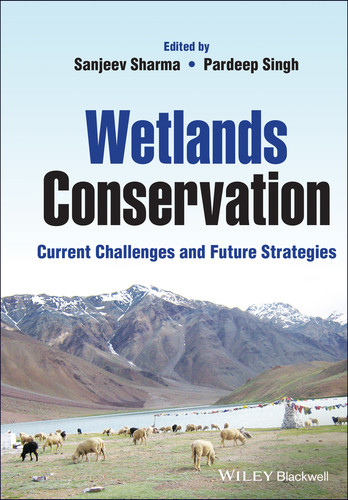 Wetlands Conservation: Current Challenges and Future Strategies book cover by 