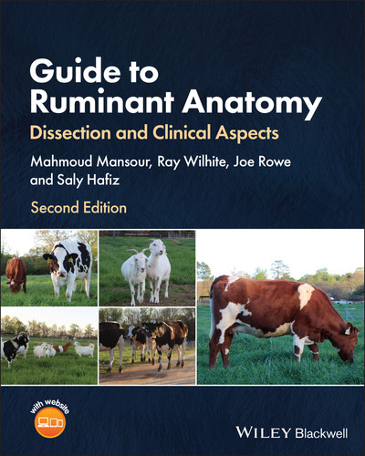 Guide to Ruminant Anatomy: Dissection and Clinical Aspects book cover by 