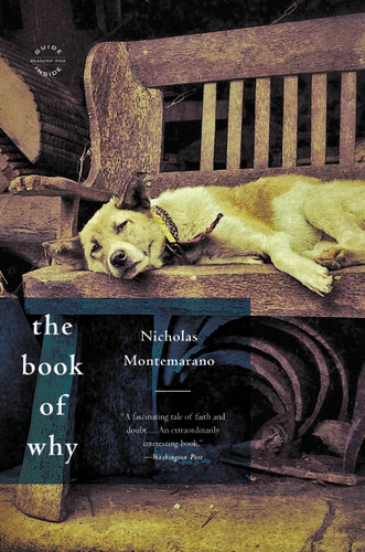 The Book of Why: A Novel book cover by Nicholas Montemarano